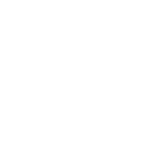 Transportes Madero icono seguridad